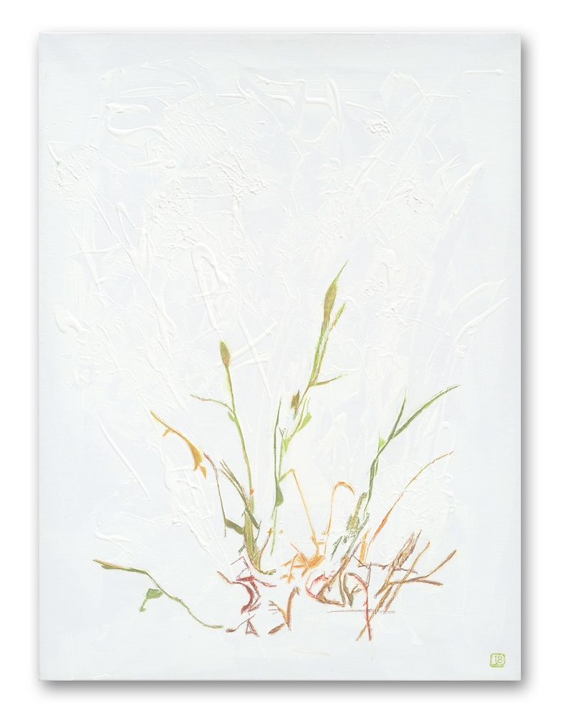 Delicate grasses against a highly textured white background