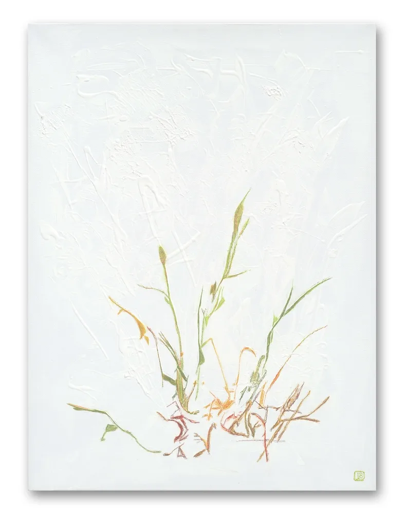 Delicate grasses against a highly textured white background