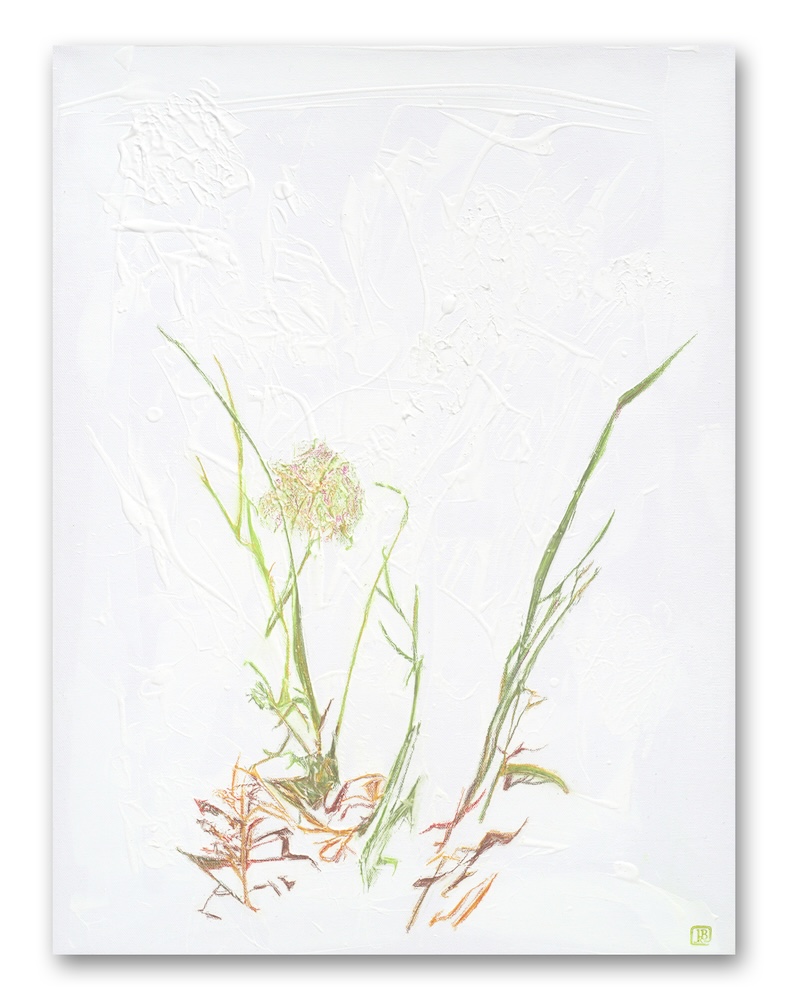 Delicate grasses against a highly textured white background