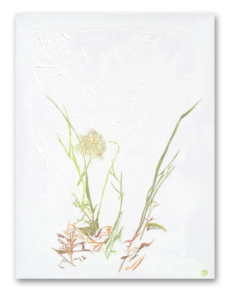 Delicate grasses against a highly textured white background